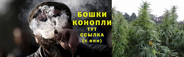 дживик Каменногорск