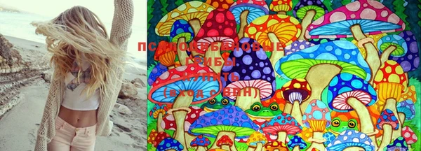 дживик Каменногорск