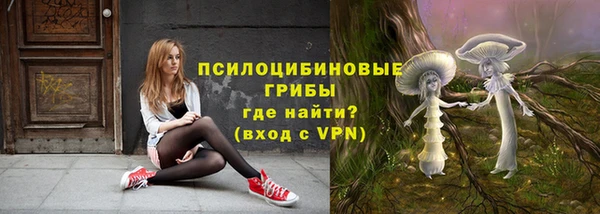 прущие крисы Каменка