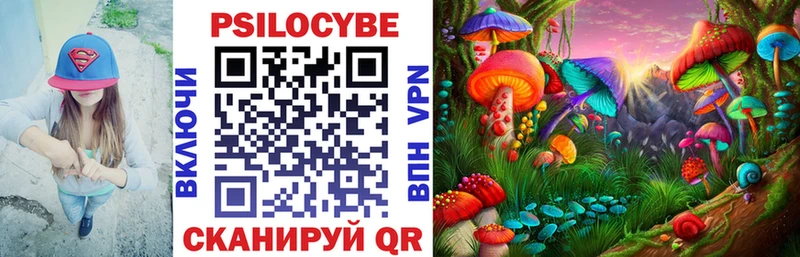Купить закладки  Междуреченск  Псилоцибиновые грибы GOLDEN TEACHER 